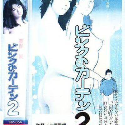 粉红的窗帘 2