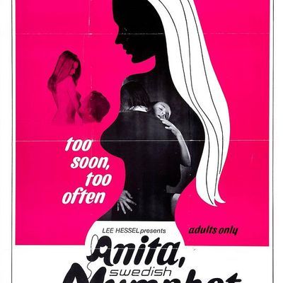 #瑞典少女阿尼塔