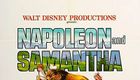 拿破仑与萨曼莎