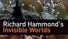 理查德·哈蒙德:看不见的世界 40G原盘