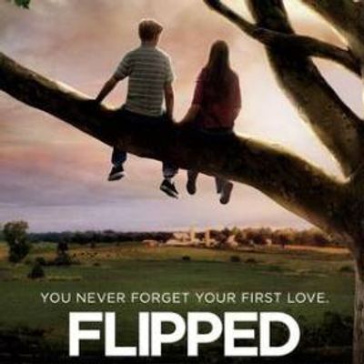 #怦然心动 Flipped
