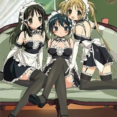 这就是我的主人