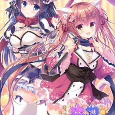 猫忍之心5部(8G)