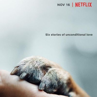 #爱犬情深 第一季