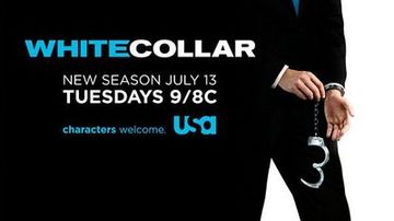 妙警贼探/ 不是冤家不聚 / 猫鼠游戏 全系列