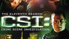 犯罪现场调查 第十一季