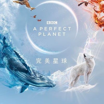 #完美星球 4K