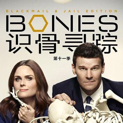 识骨寻踪 第十一季