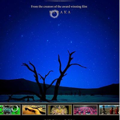 轮回 Samsara 种子文件