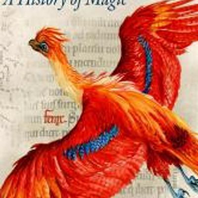 #哈利波特:一段魔法史HD1080P