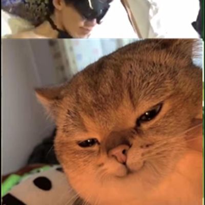 帅气小哥哥入肉