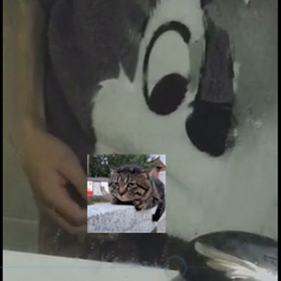 小哥哥对镜观鸟
