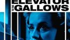 通往绞刑架的电梯