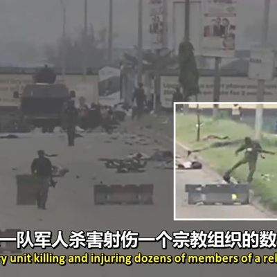 #尼日利亚阿布贾惨案(How an Elite Nigerian Unit Killed Dozens of Protesters) 无删减版