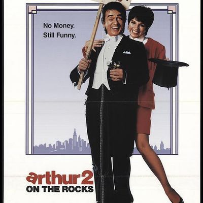 #二八佳人花公子续集