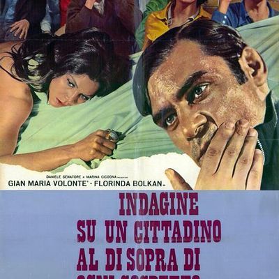 #对一个不容怀疑的公民的调查