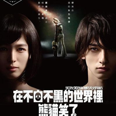 #在不白不黑的世界里,熊猫笑了