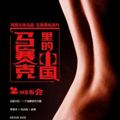 #马赛克里的中国