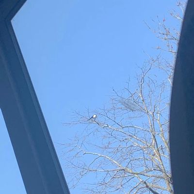 世界上最NG的恋爱