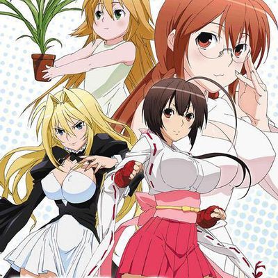 #鹡鸰女神漫画全本