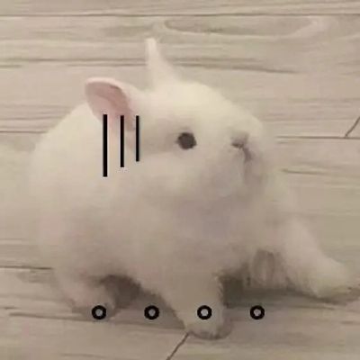 第89届奥斯卡电影bt种子包