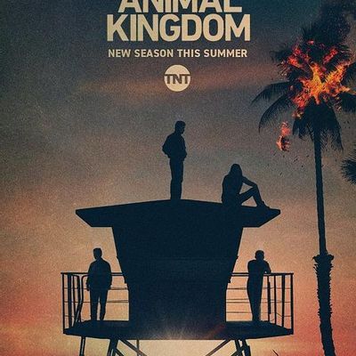 野兽家族 第五季