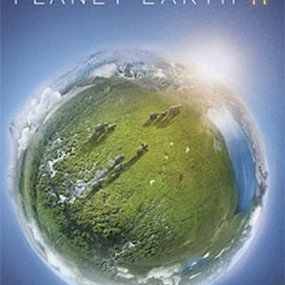 地球脉动第二季丛林